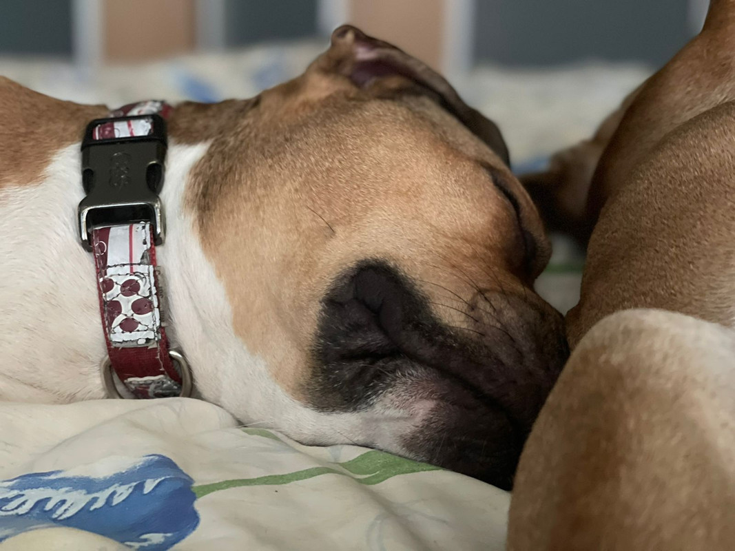 FCD300D8-1632-41A8-8C34-889278B32DCE