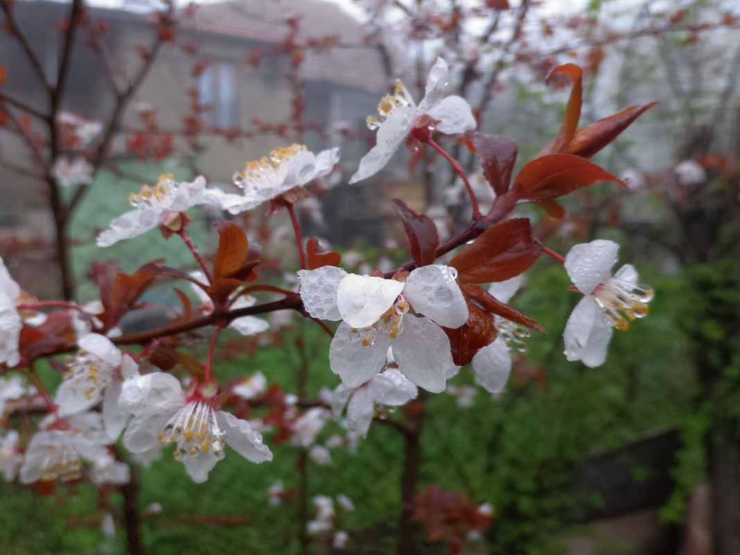 339414824-919728822566767-50331422602156