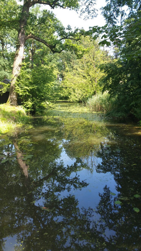 Watermolen Hackfort 04 Vorden