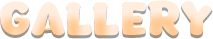 gallery.png