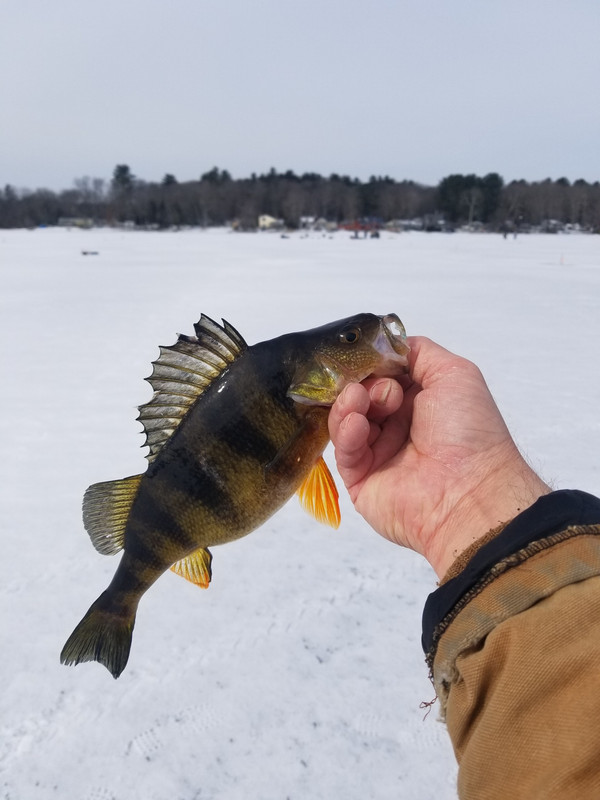 20190223_112920