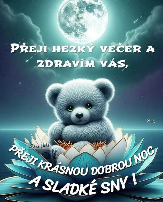 783452789-4343999875862295-8124774805630004833-n
