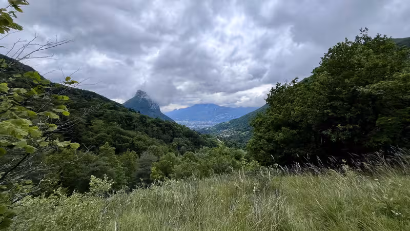 https://i.postimg.cc/P5CstGMz/IMG-4054-2.avif