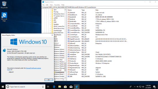 Windows 10 Redstone 5, Version 1809 17763.348 AIO 68in2 (x86-x64) March 01, 2019