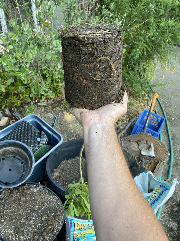 2AF0EDE2-DA1F-4621-83AC-FBC4EC539BD2