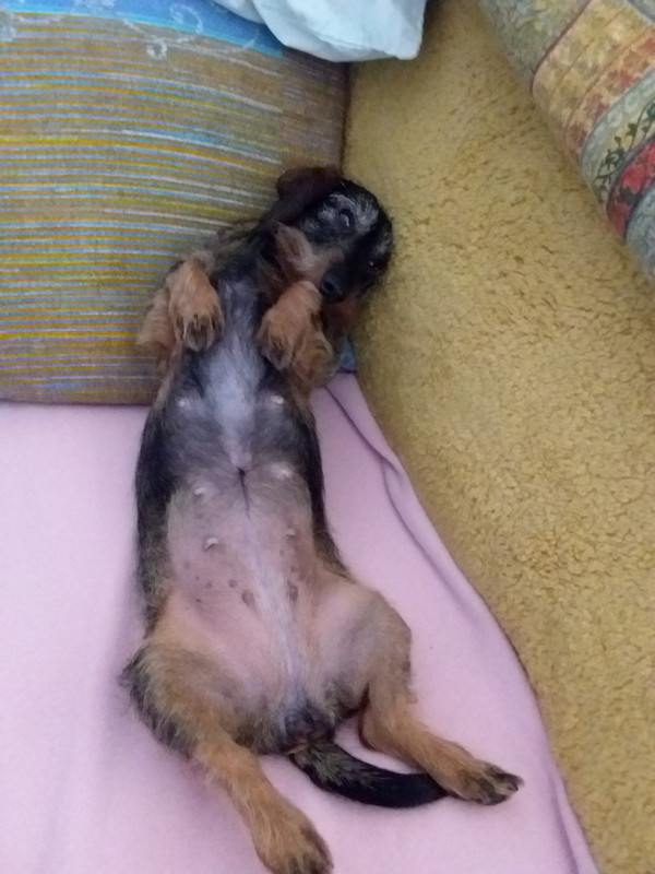 [Image: 20240203-154655.jpg]