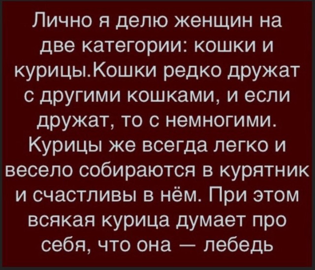 19602615.jpg