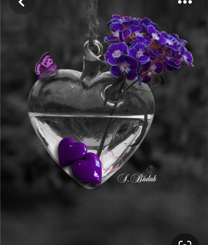 Screenshot_20230422_232612_Pinterest