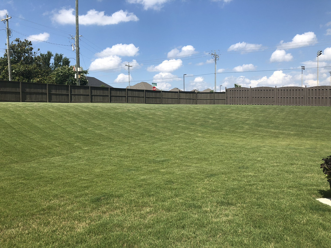 6BFC067C-EC21-42C4-87D0-C1B23DC023D6