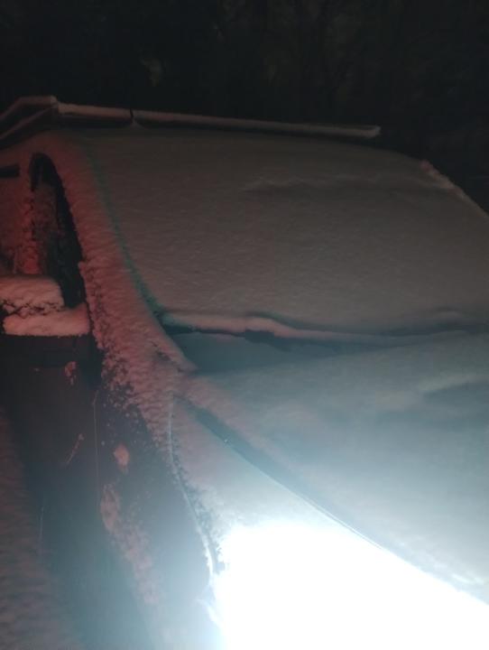 IMG 20260129 063110773