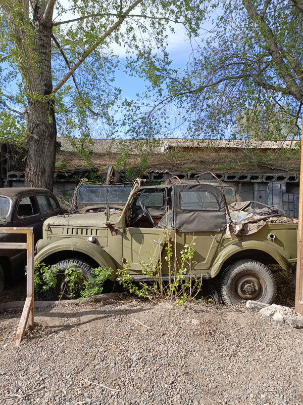 IMG_20240517_161640_100