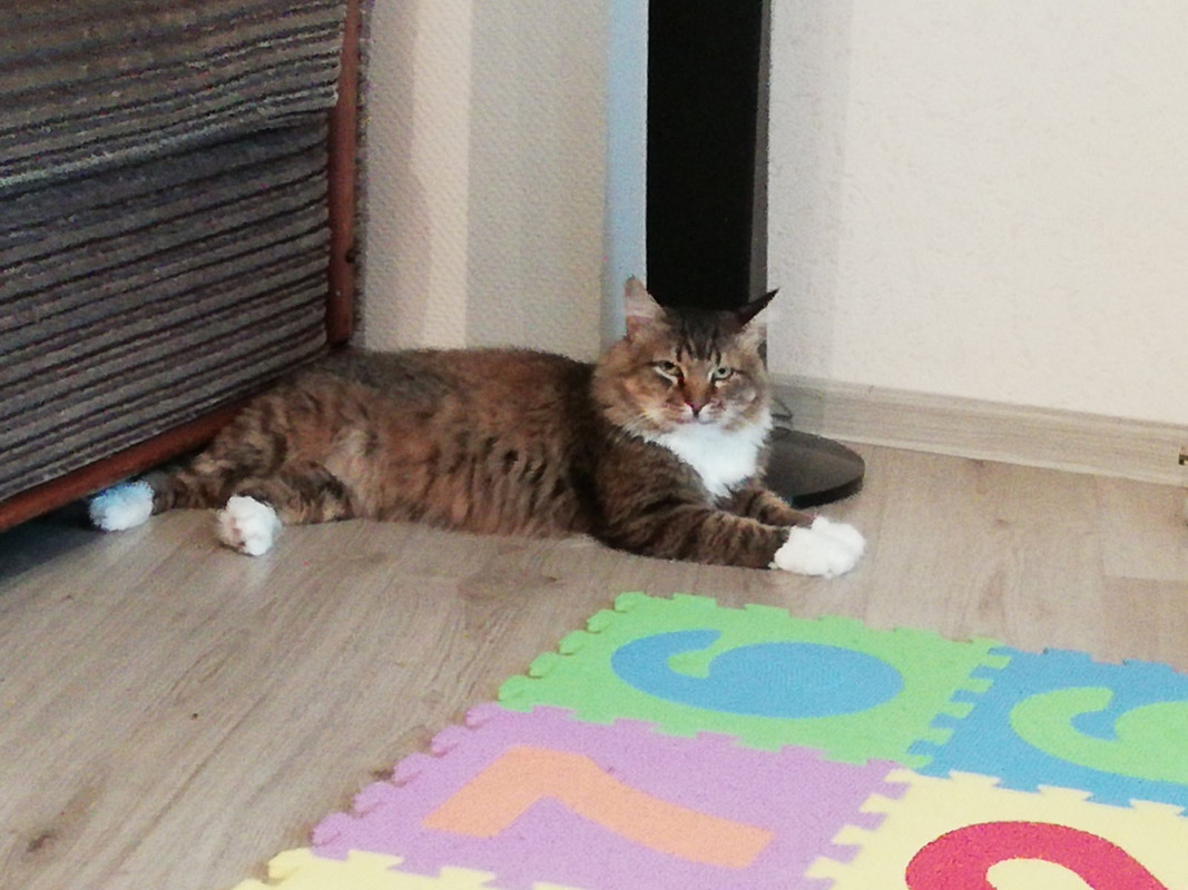 06B2418C-317D-4AD3-9F84-97D63D53F1EF