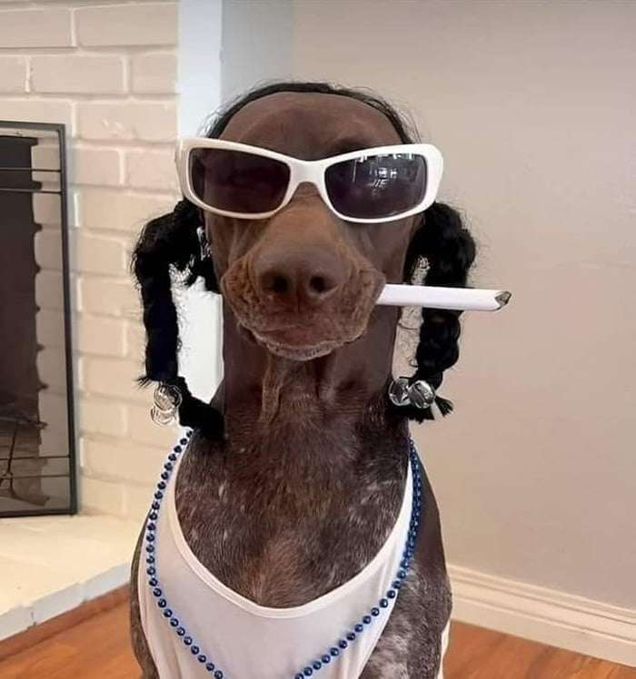 Picdump-102-4.jpg