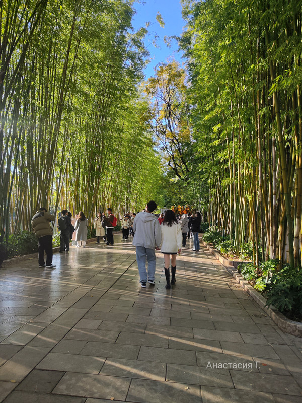 IMG_20241130_170632 (1)