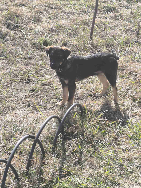 IMG df083eafa886303683123e16cf09b610 V