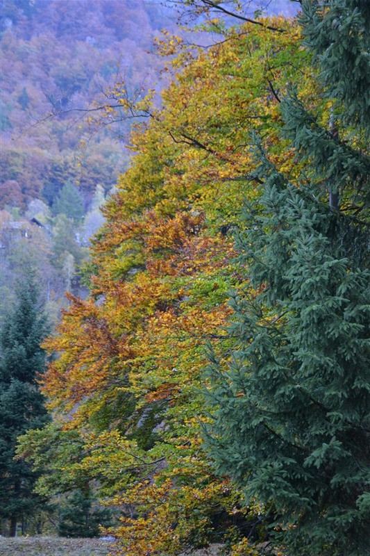 DSC 0111 — Postimages