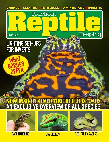 Practical Reptile Keeping - March / 2023