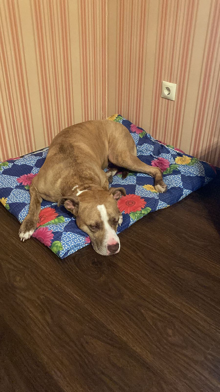 542FE563-C900-4716-B433-033DE8450E0C