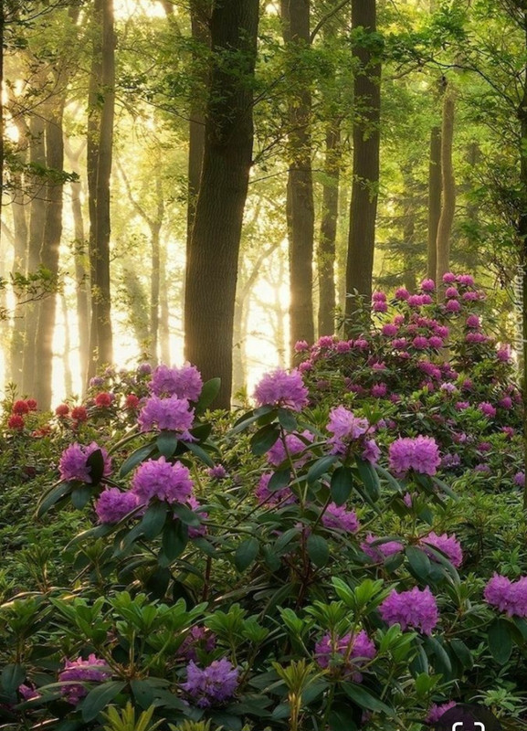 Screenshot_20240330_234453_Pinterest