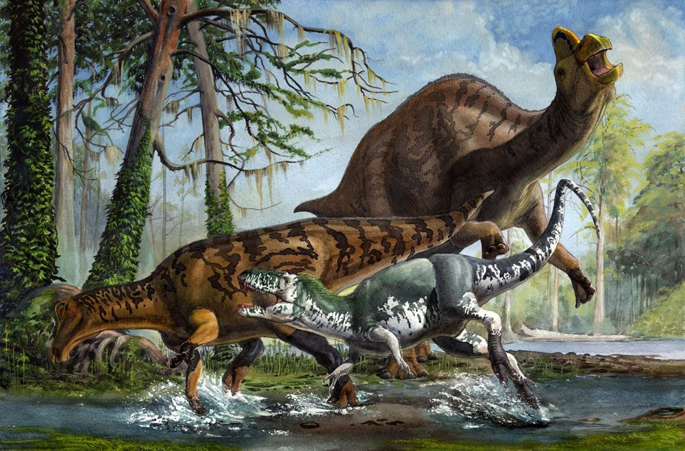 9adb654437c9c803488db0fbd1a3c019