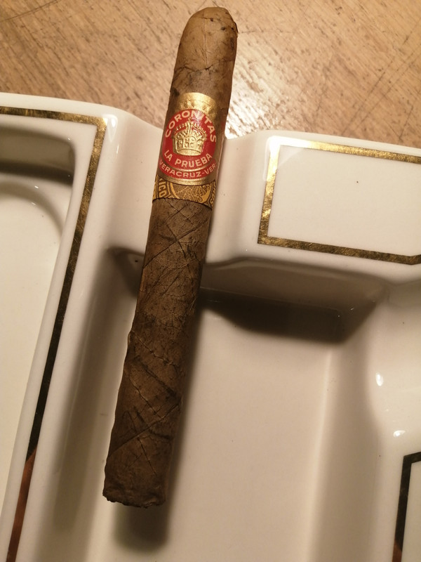 IMG_20240425_195905[1]