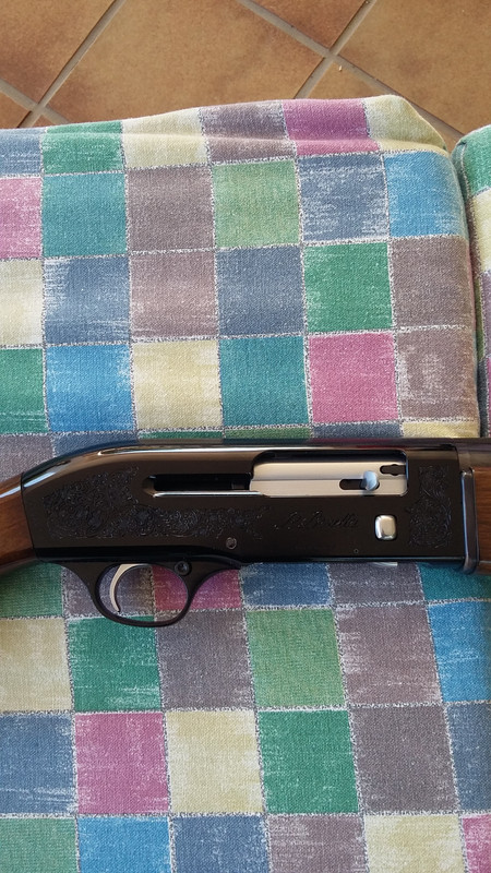 BF26B19F-E0EA-4913-9CDF-9D9F7056E312