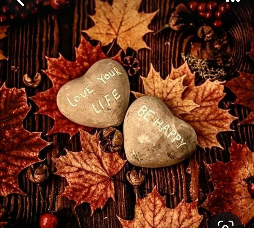 Screenshot_20240210_221248_Pinterest