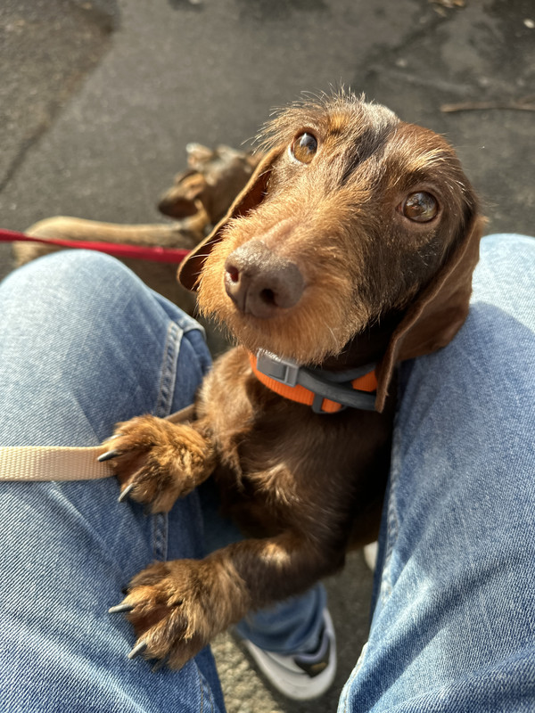 [Image: IMG-4614.jpg]