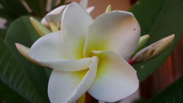 P4070026