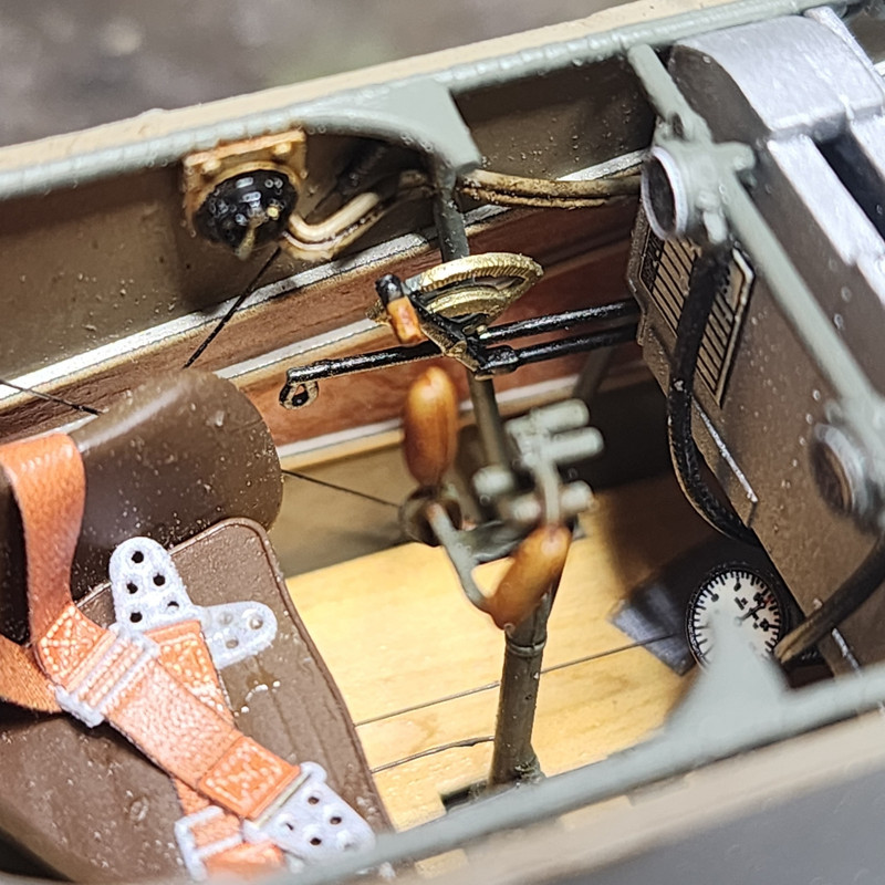 485873848_24338836522383212_6235506423916705485_n