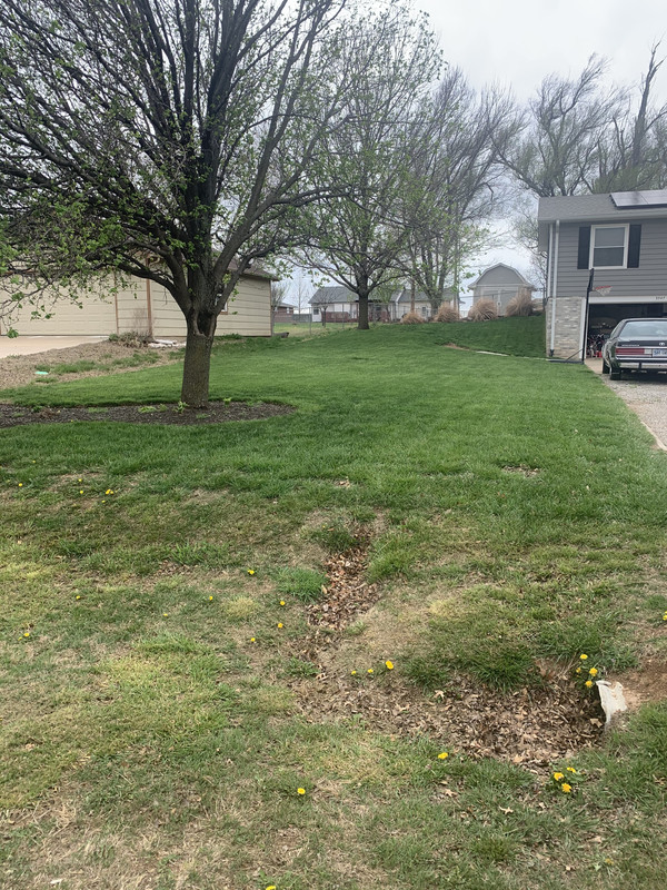 B717D556-20D0-424B-9535-1226D6514C86