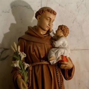 [Image: IMG-0359.jpg]