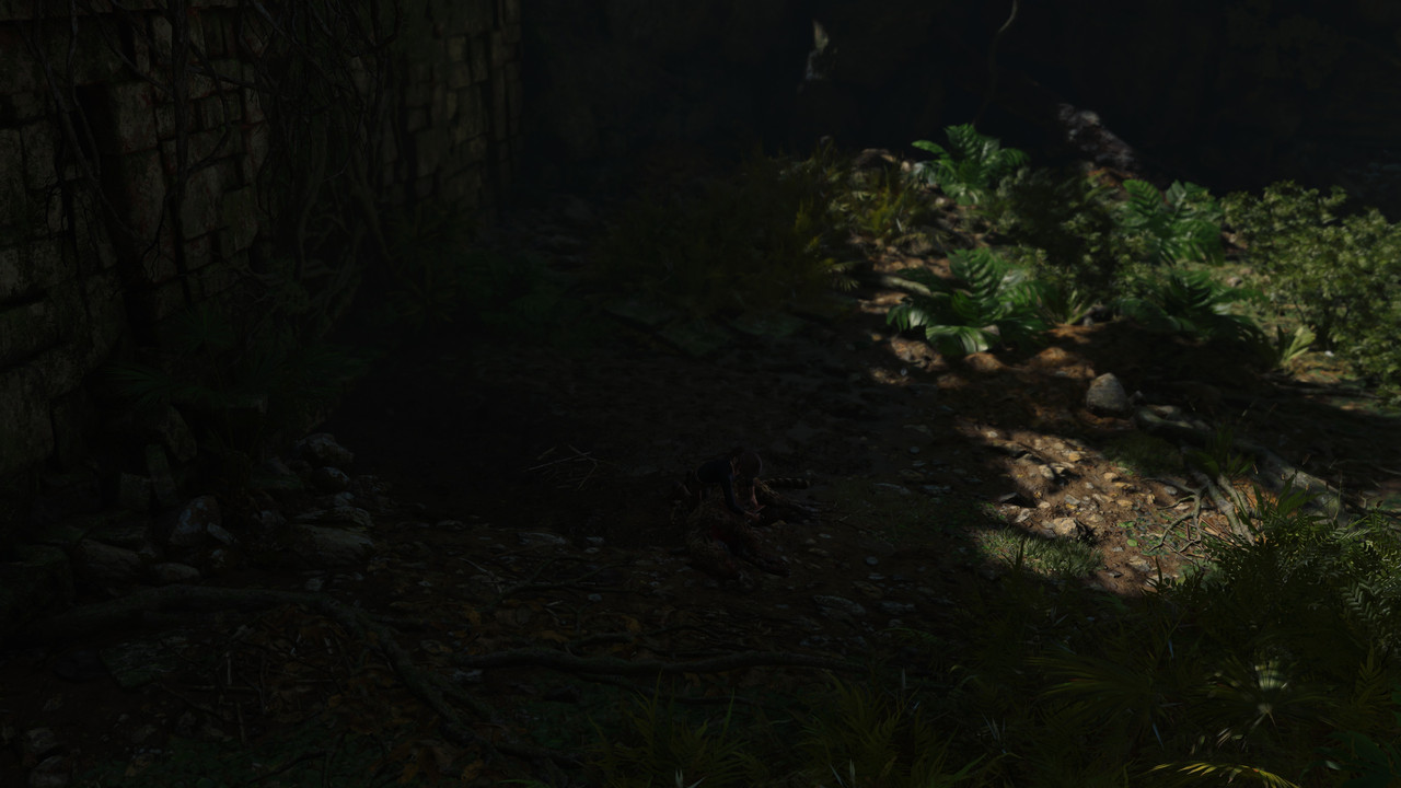 SOTTR-2018-09-26-22-16-23-compressed
