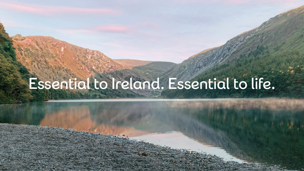 Eir brand additional showcase