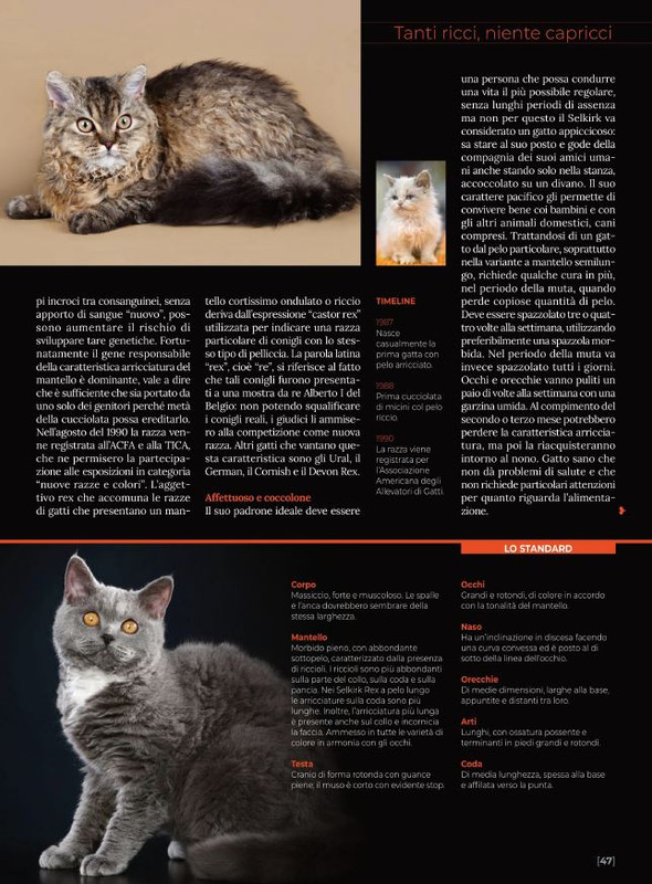 Ga Ma Giu-Lug 2021 (10)