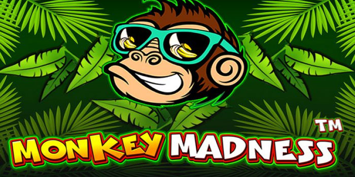 Trik Anti Gagal Bermain di Slot Monkey Madness