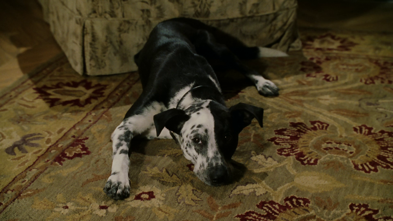 vlcsnap-2024-10-27-11h06m37s593.png