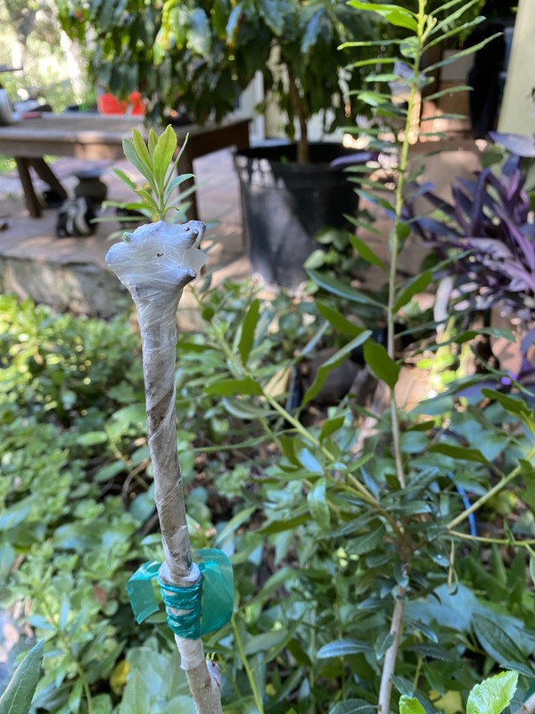 99348CD8-5061-4279-A957-16B034DABA75