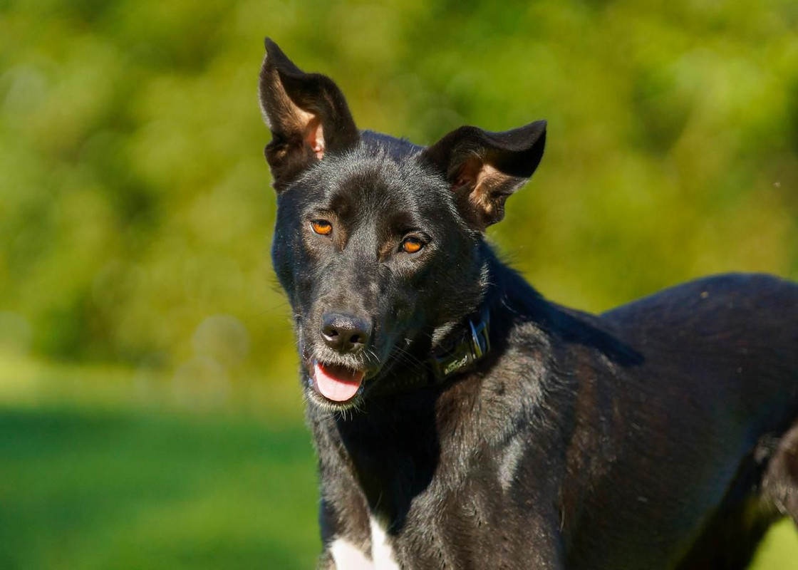 Изображение WhatsApp 2025-08-27 в 07.54.05_a322ecad