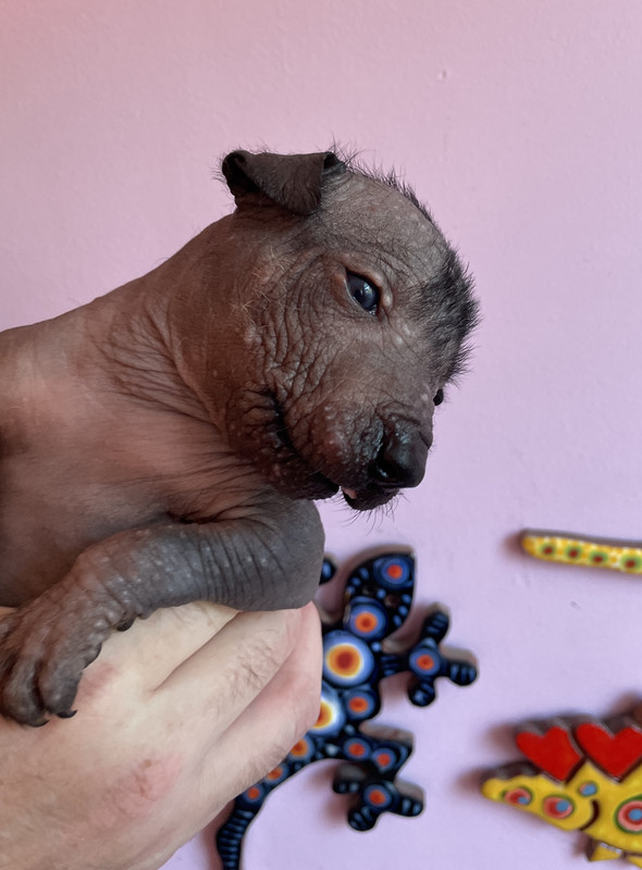 BFC5DE87-A829-44F7-9DC1-2C7A1B06058A_1_201_a