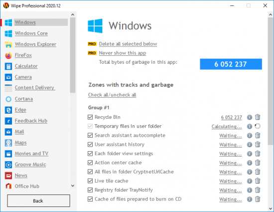 wipe professional 2020.17 wipe professional 2020.17