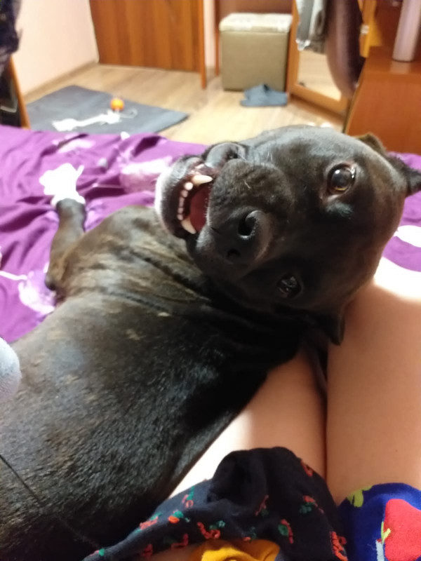 6DF4D325-4FE5-441D-A20D-38410288F876