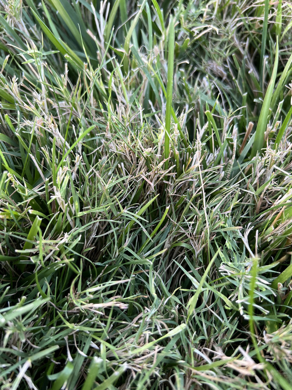 603ADB7B-8FBD-4DC2-A27E-E63CD78B8560