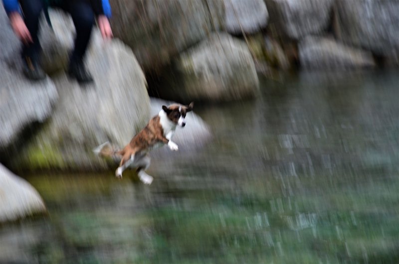 EL CHARCO VERDE-7-2-2015-AVILA - Paseando por España-1991/2016 (31)