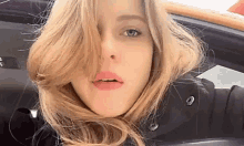 IMG-4630.gif
