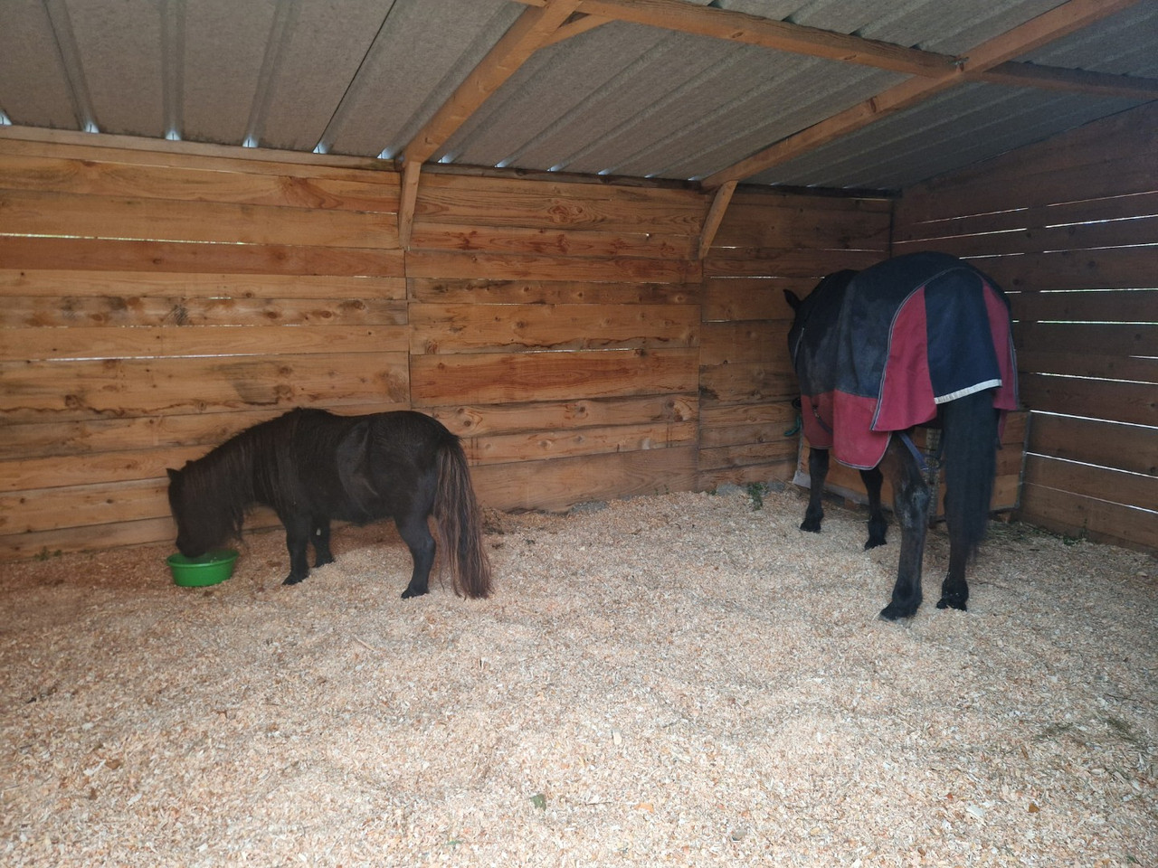 Resized 20251117 145026