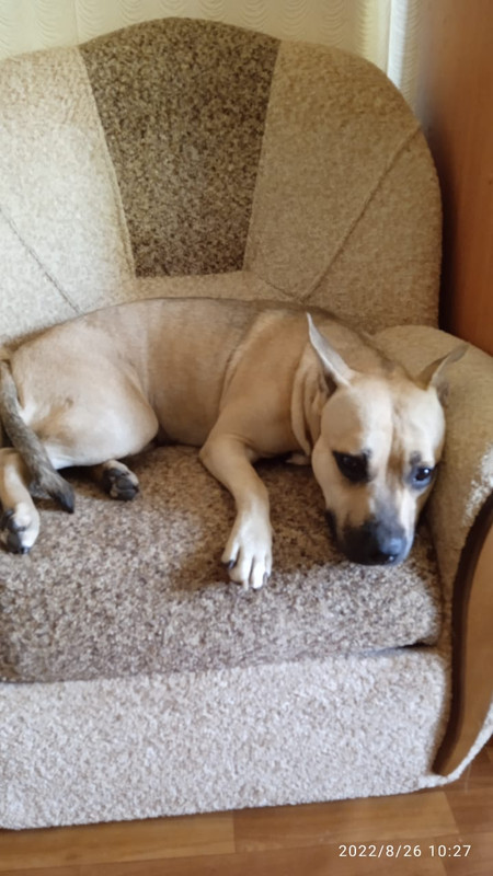 9B83321F-1A8A-4D2F-B3C0-516FC68EB2E3