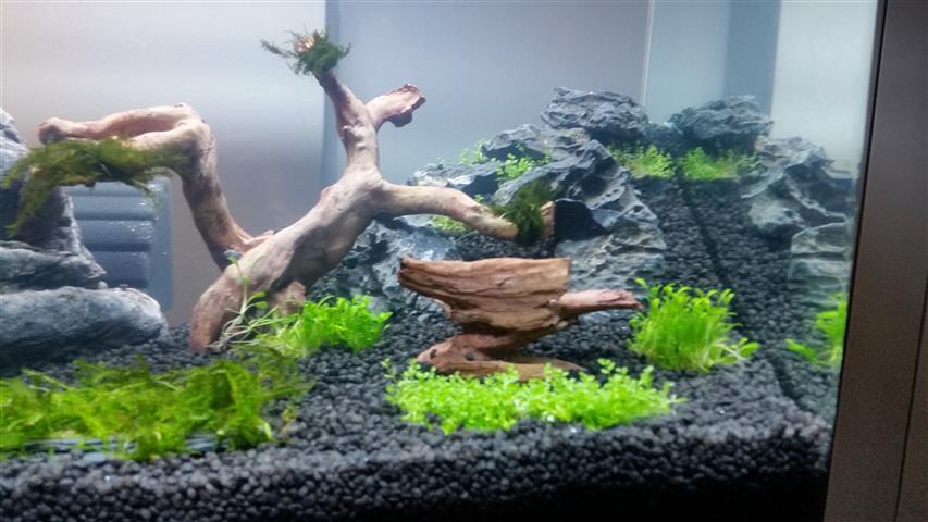 20141128_210235 (Small)