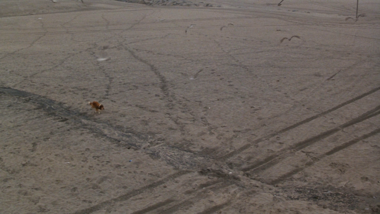 vlcsnap-2021-04-11-11h04m50s060.png