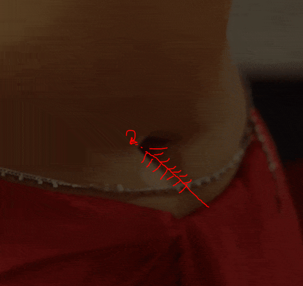 [Image: aishnavelfeather.png]